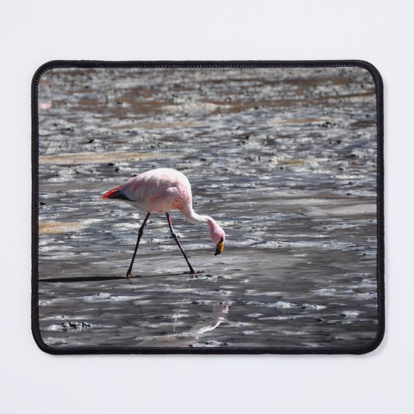Item preview, Bolivia - Salar de Uyuni designed and sold by franck380.