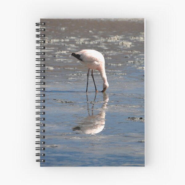 Item preview, Bolivia - Salar de Uyuni designed and sold by franck380.