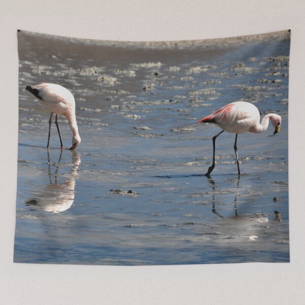 Item preview, Bolivia - Salar de Uyuni designed and sold by franck380.