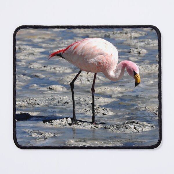 Item preview, Bolivia - Salar de Uyuni designed and sold by franck380.