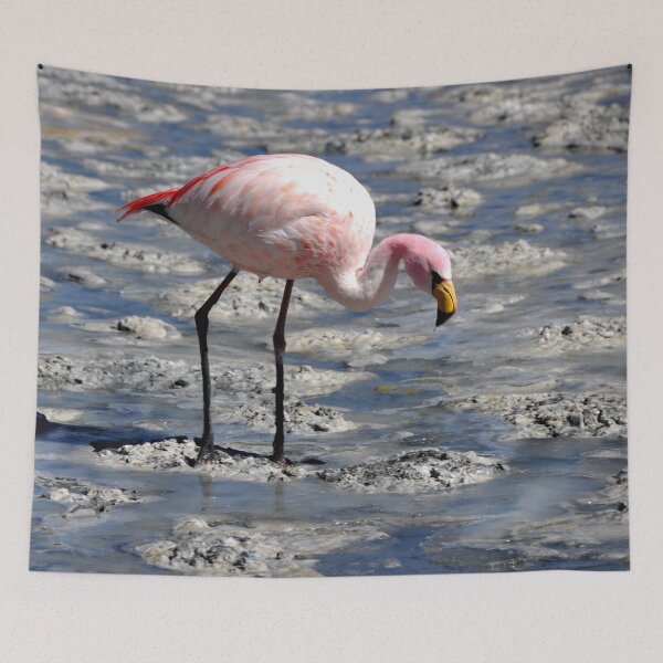 Item preview, Bolivia - Salar de Uyuni designed and sold by franck380.