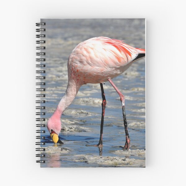 Item preview, Bolivia - Salar de Uyuni designed and sold by franck380.