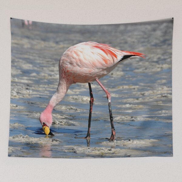Item preview, Bolivia - Salar de Uyuni designed and sold by franck380.