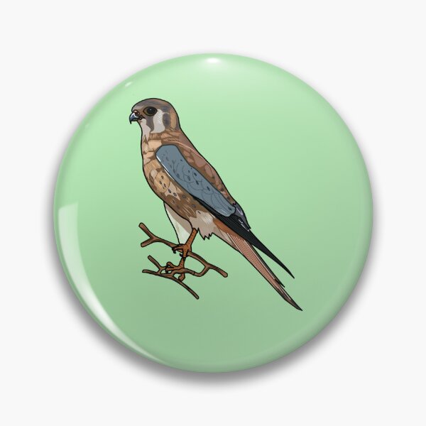 Item preview, American kestrel bird cartoon illustration designed and sold by Misscartoon.