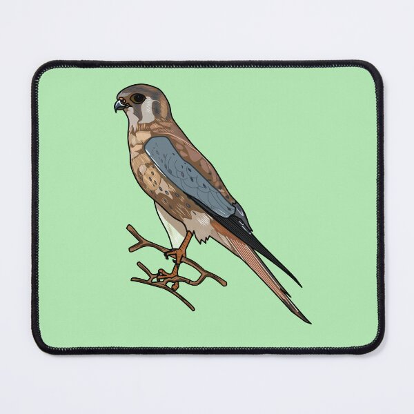 Item preview, American kestrel bird cartoon illustration designed and sold by Misscartoon.