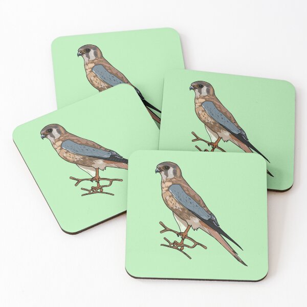Item preview, American kestrel bird cartoon illustration designed and sold by Misscartoon.