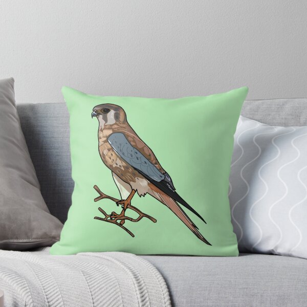 Item preview, American kestrel bird cartoon illustration designed and sold by Misscartoon.