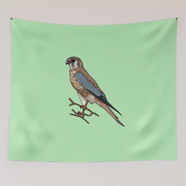 Item preview, American kestrel bird cartoon illustration designed and sold by Misscartoon.