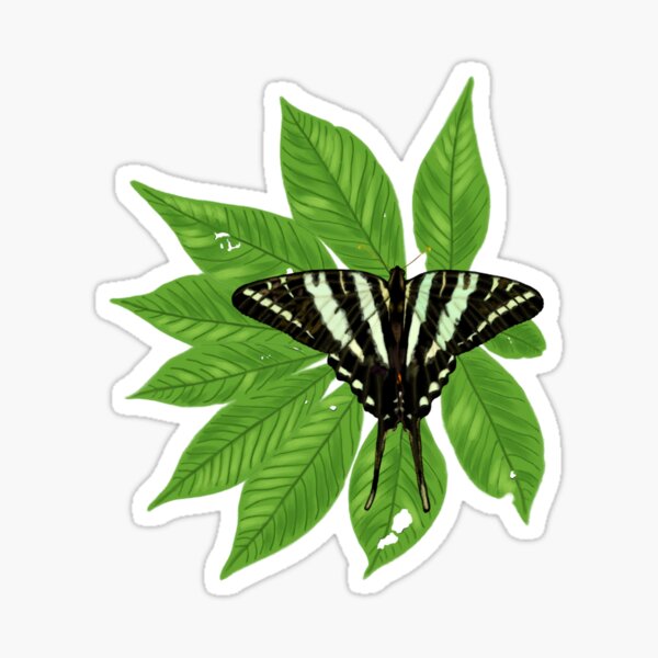 Artikel-Vorschau von Zebra-Schwalbenschwanz-Schmetterling mit Pawpaw-Baum-Illustration, designt und verkauft von ModelOrganism.