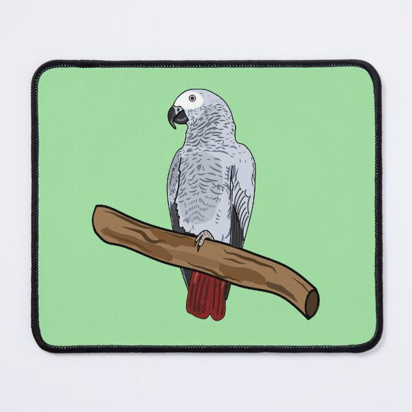 Item preview, African grey parrot cartoon illustration designed and sold by Misscartoon.