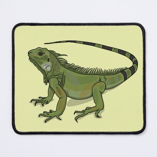 Item preview, Iguana cartoon illustration designed and sold by Misscartoon.