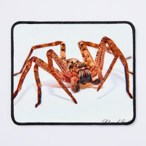 Item preview, Huntsman 088 designed and sold by kevin Chippindall.
