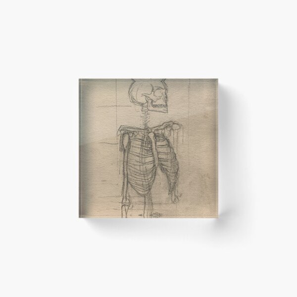 Item preview, Skeleton designed and sold by Chocmoojoo.