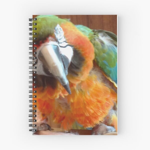 Item preview, Macaw designed and sold by jennyleeandjim.