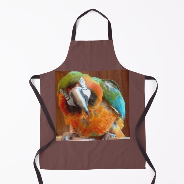 Item preview, Macaw designed and sold by jennyleeandjim.