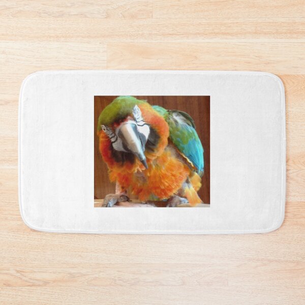 Item preview, Macaw designed and sold by jennyleeandjim.