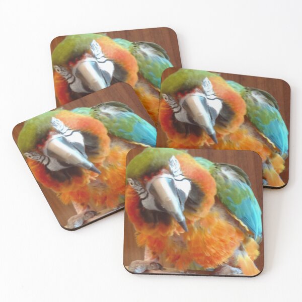 Item preview, Macaw designed and sold by jennyleeandjim.