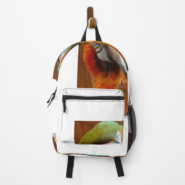 Item preview, Macaw designed and sold by jennyleeandjim.