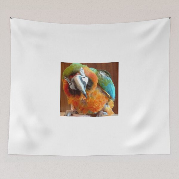Item preview, Macaw designed and sold by jennyleeandjim.