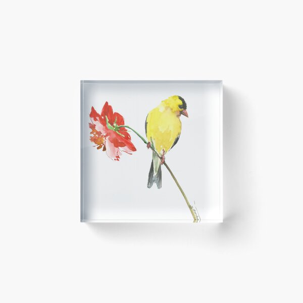 American Goldfinch and red Flower Acrylic Block