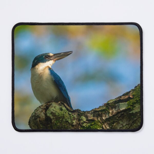 Item preview, Common Kingfisher designed and sold by TravellingFatmn.