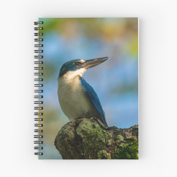 Item preview, Common Kingfisher  designed and sold by TravellingFatmn.