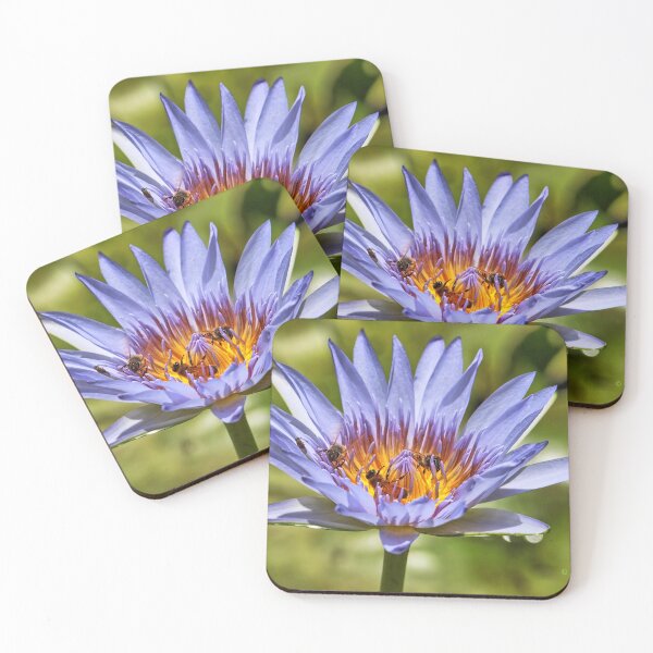 Item preview, Three bees in a water lily. designed and sold by Ian Ramsay.