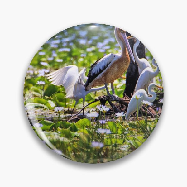 Item preview, A pelican and the egrets. designed and sold by Ian Ramsay.