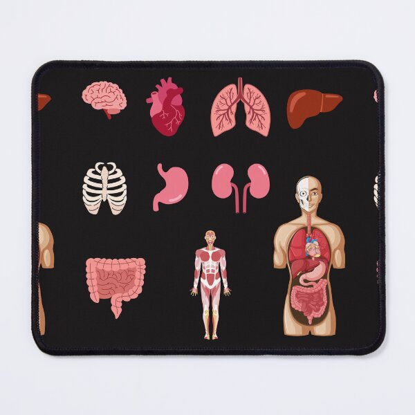 Item preview, human anatomy : inner organs designed and sold by Wonder Pixel Studio.