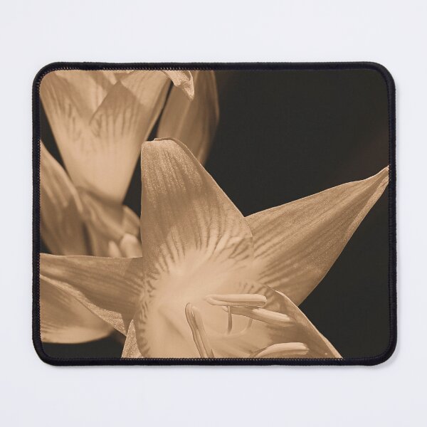 Item preview, Sepia Double Summer Flowers designed and sold by Joy Watson - Natural Light Photography .