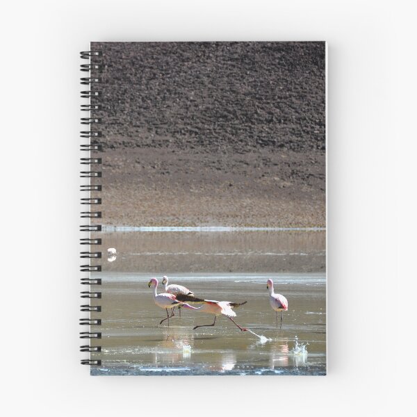 Item preview, Bolivia - Salar de Uyuni designed and sold by franck380.