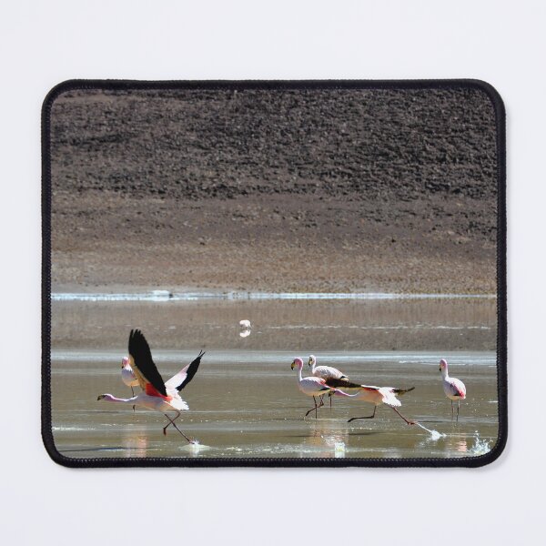 Item preview, Bolivia - Salar de Uyuni designed and sold by franck380.