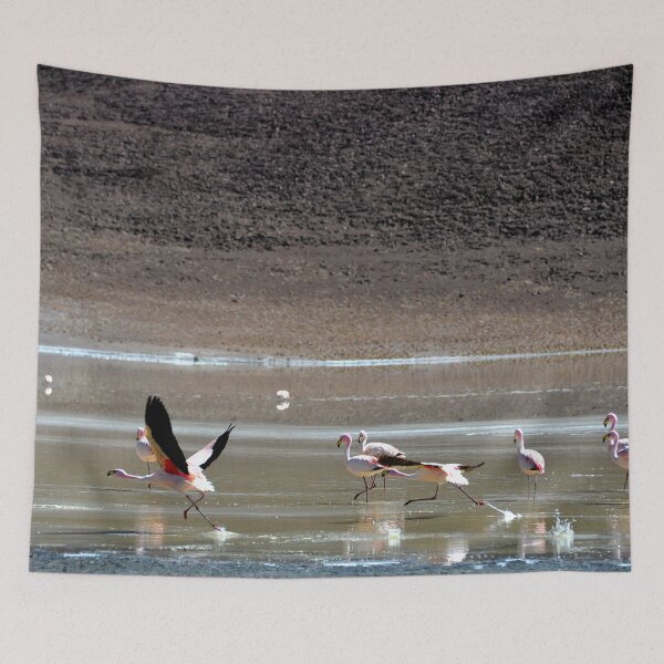 Item preview, Bolivia - Salar de Uyuni designed and sold by franck380.