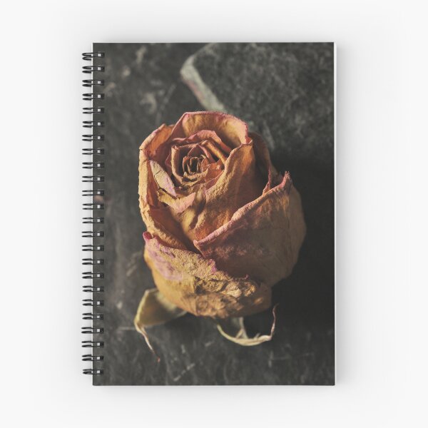Item preview, Dry rose designed and sold by Milan Latta.