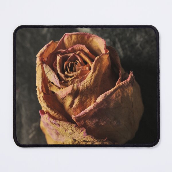 Item preview, Dry rose designed and sold by Milan Latta.