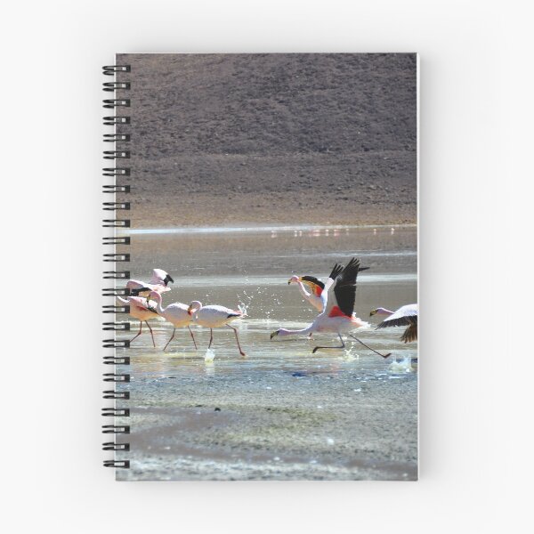 Item preview, Bolivia - Salar de Uyuni designed and sold by franck380.