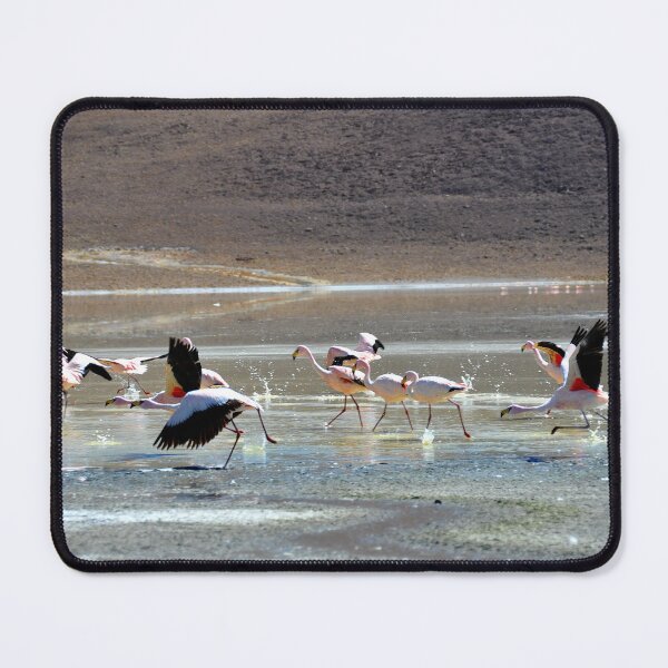 Item preview, Bolivia - Salar de Uyuni designed and sold by franck380.
