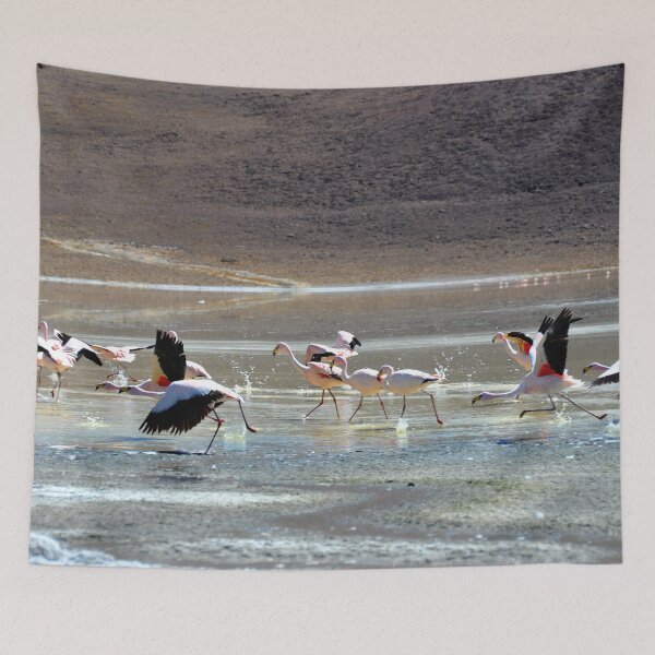 Item preview, Bolivia - Salar de Uyuni designed and sold by franck380.