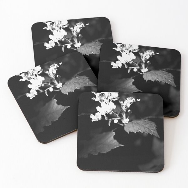 Item preview, Blossom of the night designed and sold by Milan Latta.