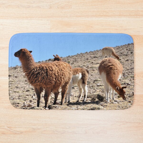 Item preview, Bolivie - Salar d'Uyuni  designed and sold by franck380.