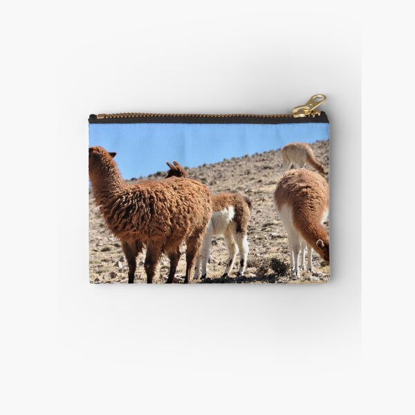 Item preview, Bolivia - Salar de Uyuni designed and sold by franck380.