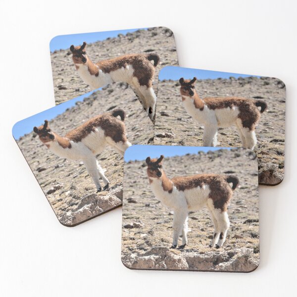 Item preview, Bolivia - Salar de Uyuni designed and sold by franck380.