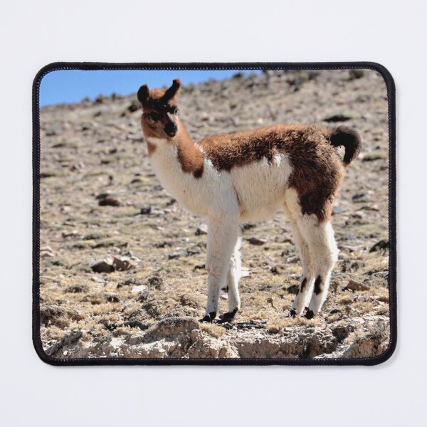 Item preview, Bolivia - Salar de Uyuni designed and sold by franck380.