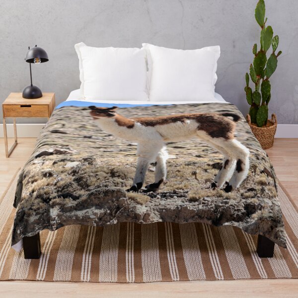 Item preview, Bolivia - Salar de Uyuni designed and sold by franck380.