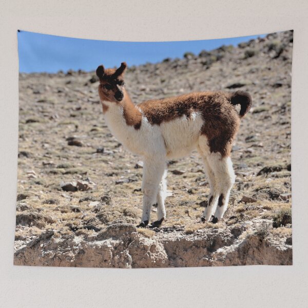 Item preview, Bolivia - Salar de Uyuni designed and sold by franck380.