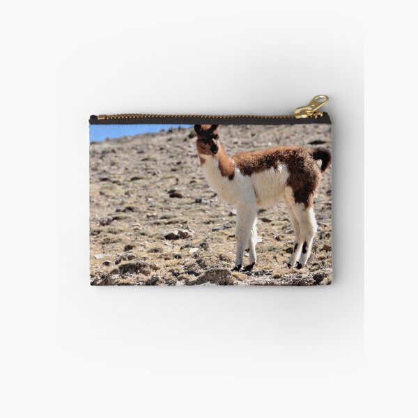 Item preview, Bolivia - Salar de Uyuni designed and sold by franck380.