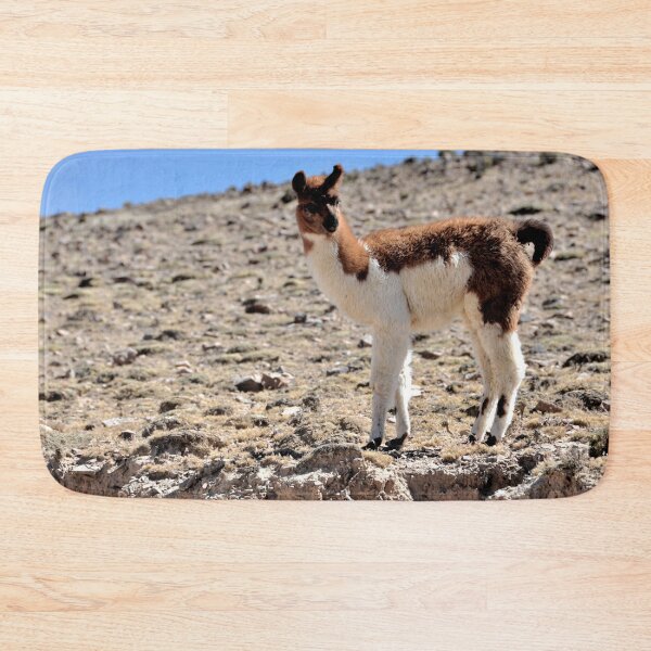 Item preview, Bolivia - Salar de Uyuni designed and sold by franck380.