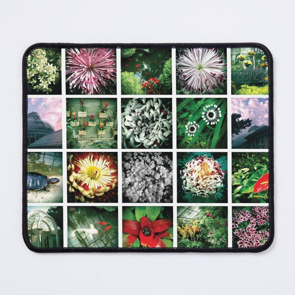 Item preview, Allan Gardens Photos designed and sold by M-Greco.