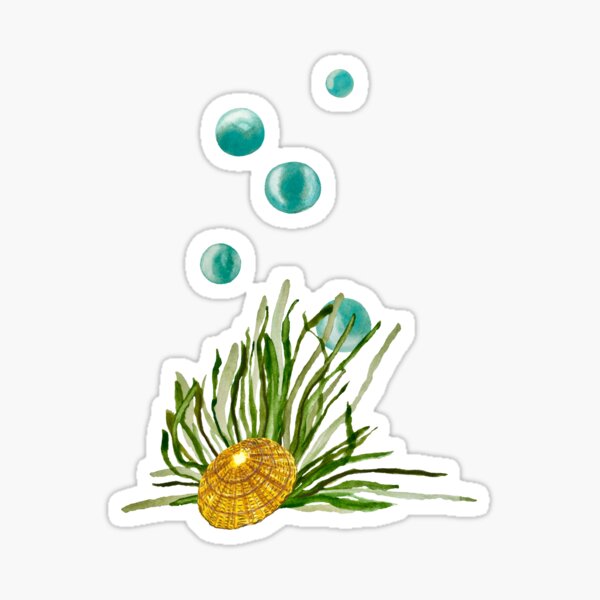 Item preview, Seaweed bubbles shell ocean sea watercolor sketch designed and sold by calligramus.