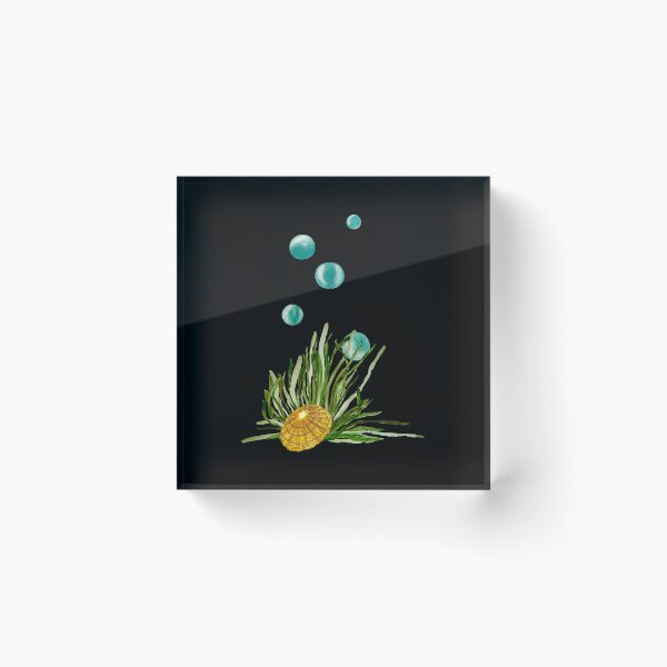 Item preview, Seaweed bubbles shell ocean sea watercolor sketch black designed and sold by Yana Mustafina | Boho Soulful Designs.